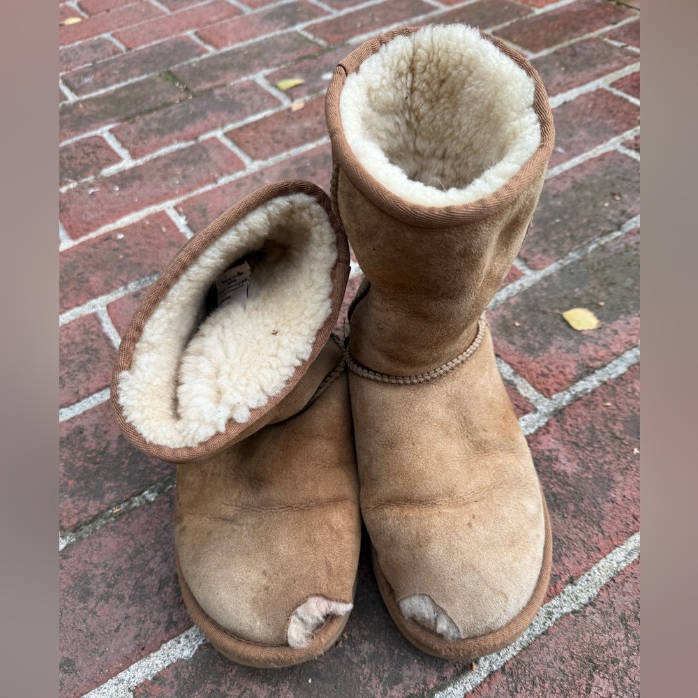 UGG Classic Short Boots in Tan and Cream